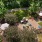 Lush Landscaping